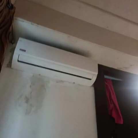 FabHotel Kamran Residency - Nr. LBS Marg - Traveller Photo