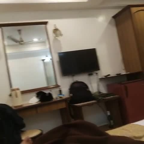 Hotel Parklane - Traveller Photo