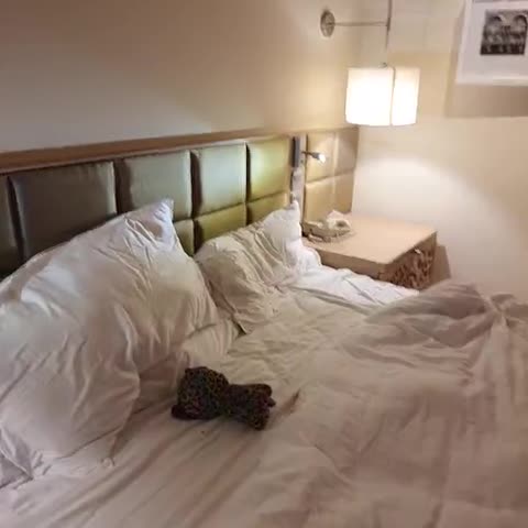 ITC Maratha - A Luxury Collection Hotel - Traveller Photo