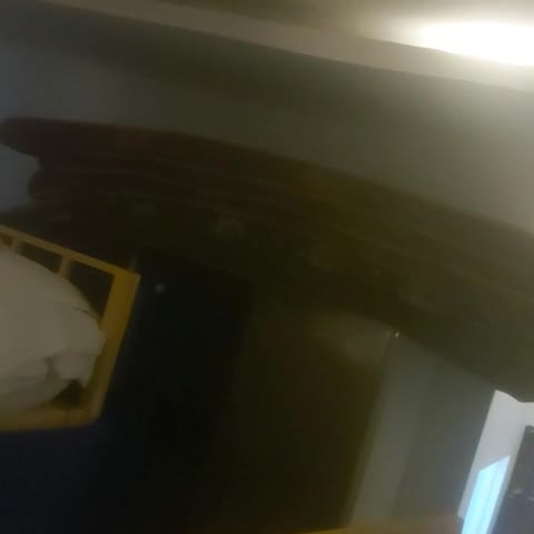 Mango Dormitory - Traveller Photo