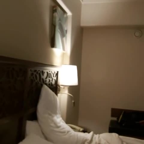 THE MAHARAJA BUSINESS HOTEL - Traveller Photo