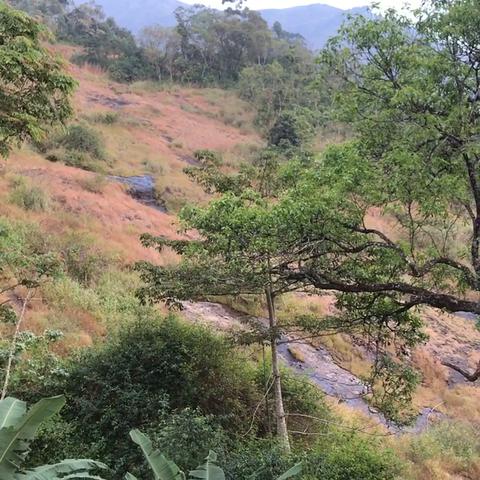 Eagle Mountain - Traveller Photo