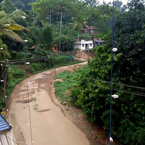Green Land Home Stay - Traveller Photo