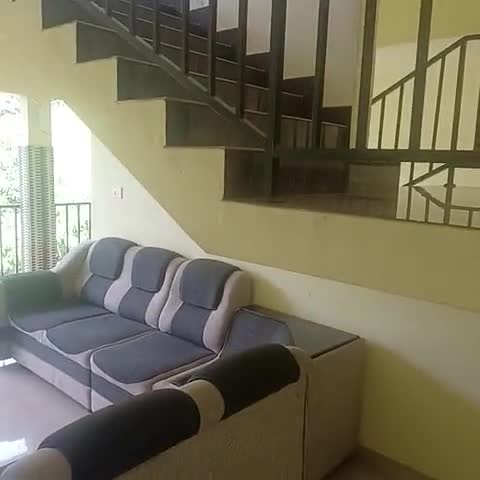 Ivory Homestay - Traveller Photo