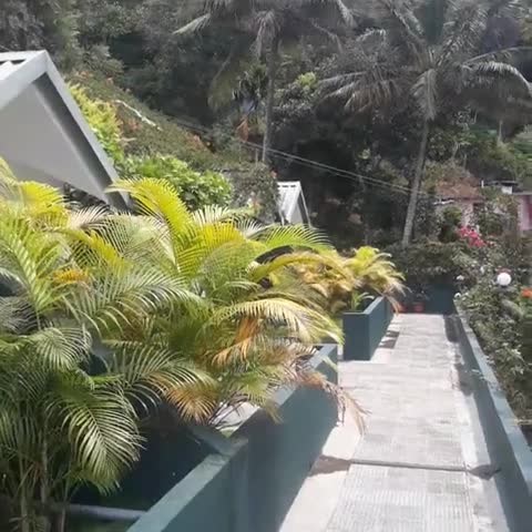 Munnar Tea Hills Resort - Traveller Photo
