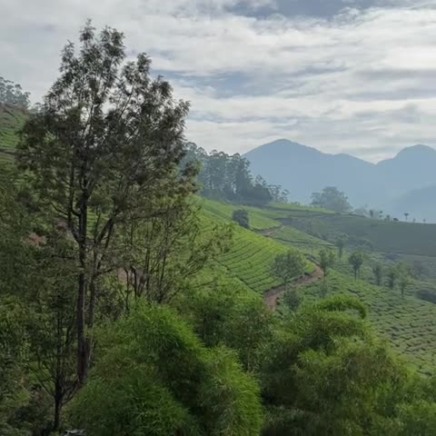 Parakkat Nature Resorts - Traveller Photo