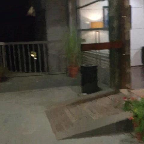 Ragamaya Resort & Spa Munnar - Traveller Photo