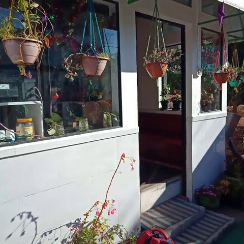 Sree Durga Nivash Munnar - Traveller Photo