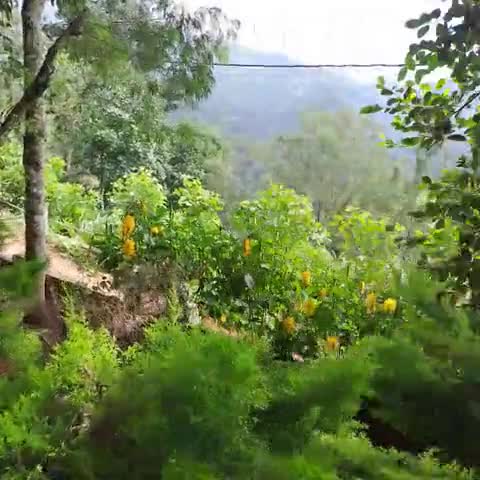 The Breeze Resorts - Traveller Photo