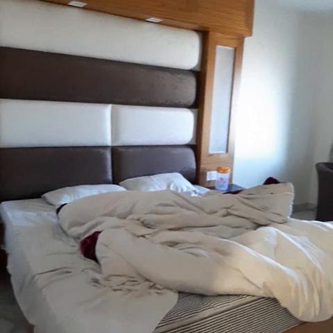 Hotel woods view - Traveller Photo