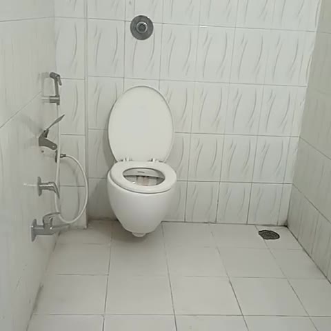 Hotel Minakshi International - Traveller Photo