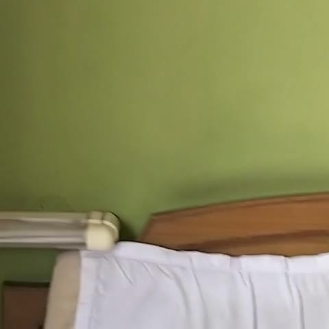 Hotel Abhishek - Traveller Photo