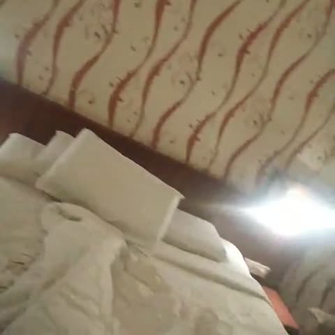 Hotel Maurya Palace  - Traveller Photo