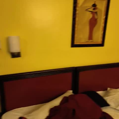 Hotel Presidency - Traveller Photo