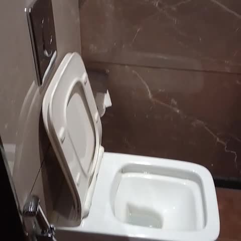 Hotel M Pro Palace Mysore - 12 Minutes to Mysore Palace - Traveller Photo