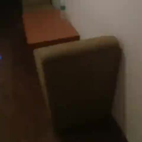 Super Townhouse Mysore City Centre Formerly Hotel Mahendra - Traveller Photo