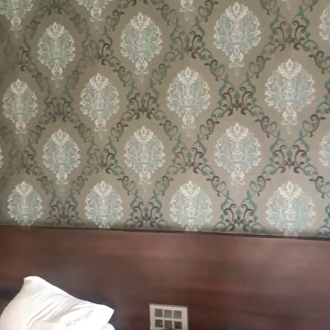  S S International HOTEL - Traveller Photo