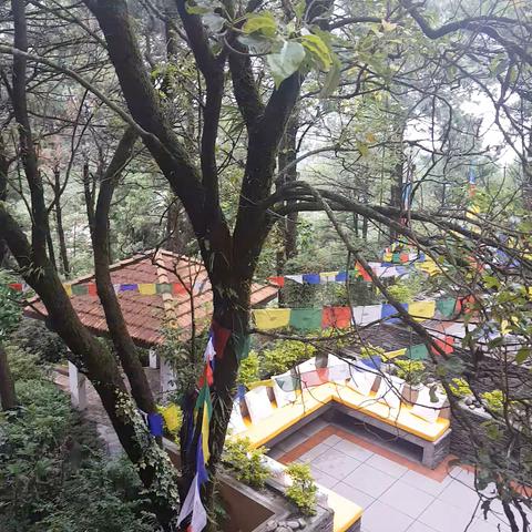 Club Himalaya, by ACE Hotels - Traveller Photo