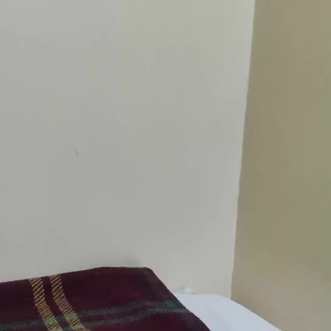 Raj Mahal Hotel - Traveller Photo