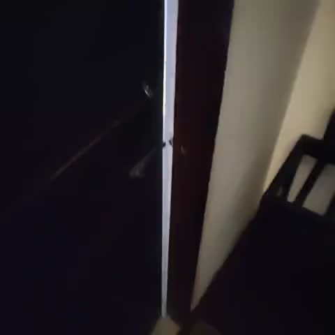 Hotel Aranya Virasat(14KM from Naini Lake) - Traveller Photo