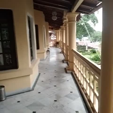 The Pavilion - Traveller Photo