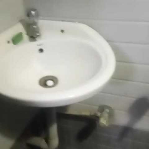 hotel raviraj - Traveller Photo