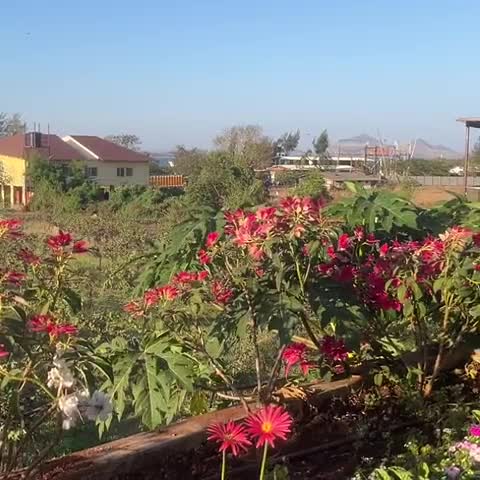 Regenta Resort Soma Vine Village - Traveller Photo
