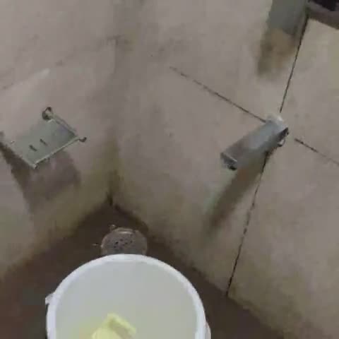 Hotel Shreepriya - Traveller Photo