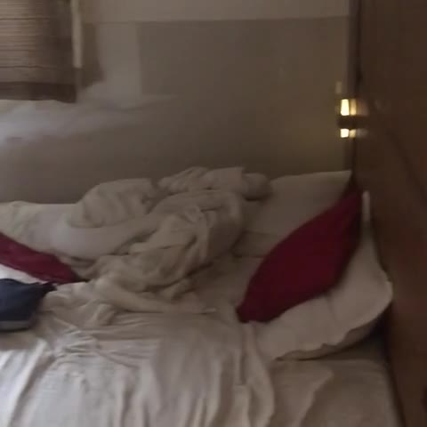 Hotel Express - Traveller Photo