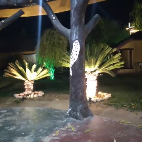 Manohar Villas - Traveller Photo