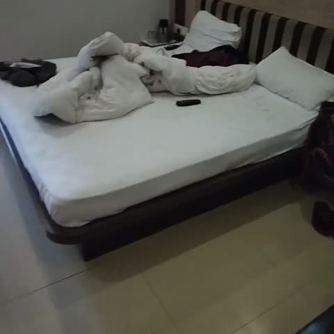 Hotel Bharat Palace - Traveller Photo