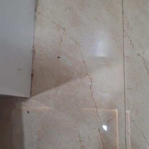 Hotel Southern Suites Nellore - Traveller Photo