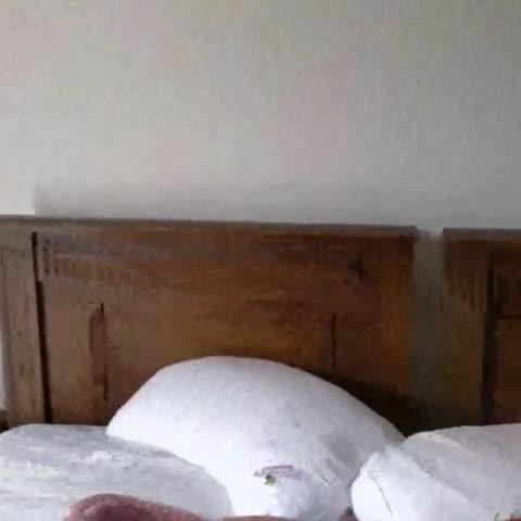 Woodberry Residency - Traveller Photo