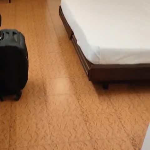 Hotel Fort Palace - Traveller Photo