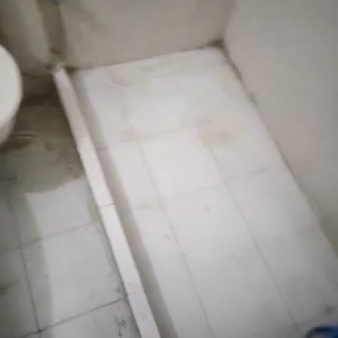 Hotel Chandigarh Residency - Traveller Photo