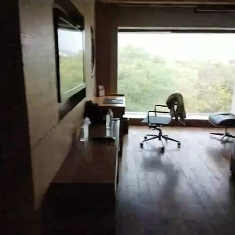 The Lalit, Chandigarh - Traveller Photo