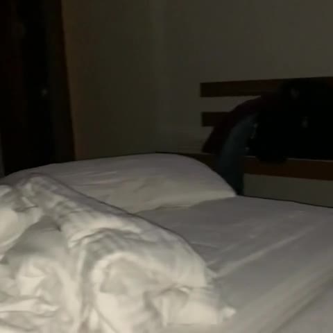 Hotel Maurya - Traveller Photo