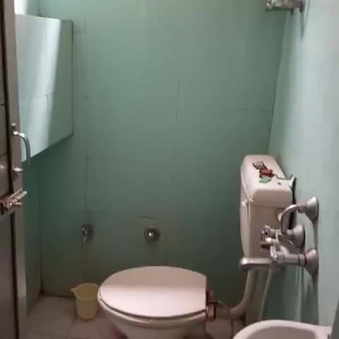 Hotel Shiva - Traveller Photo