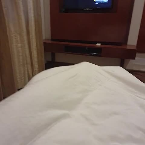 Hotel Windsor - Traveller Photo