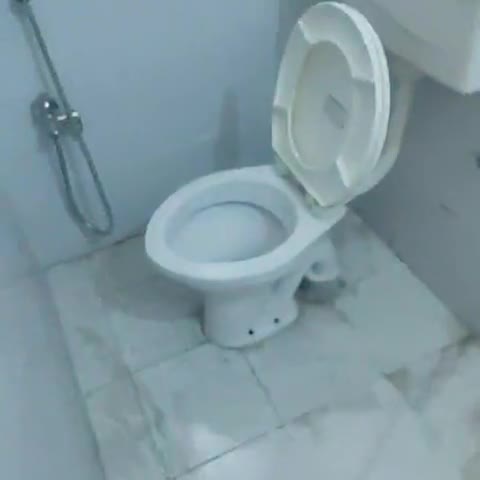 Hotel O Janki Path Lekha Nagar - Traveller Photo