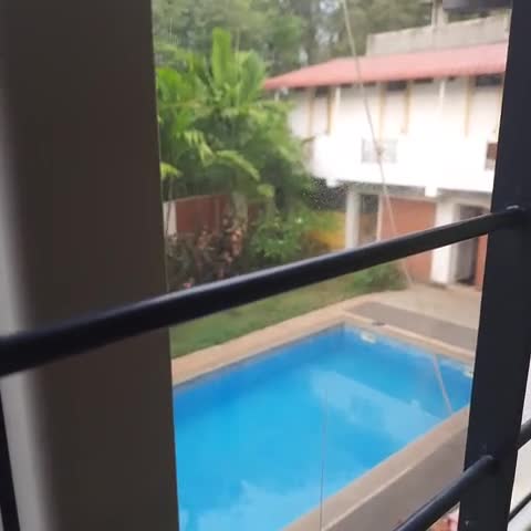 Le Holiday Inn - Traveller Photo