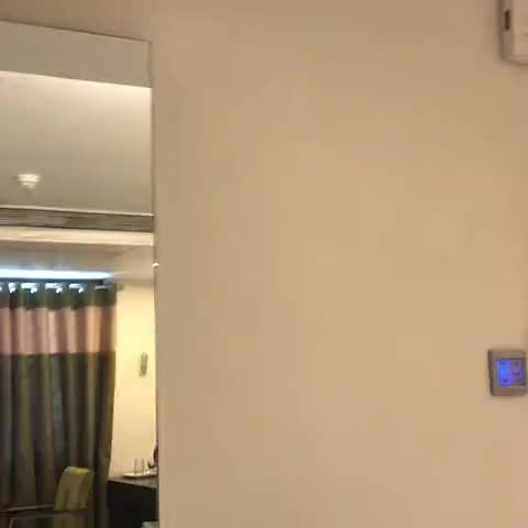 Bizz Tamanna Hotel Hinjawadi Pune - Traveller Photo