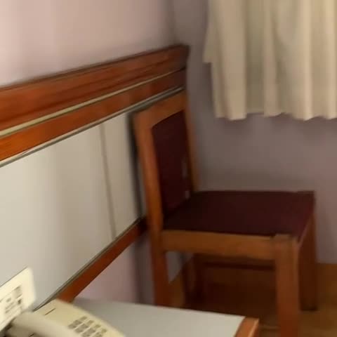 Hotel Rajmahal - Traveller Photo