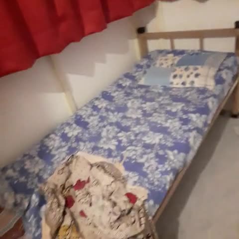 My Daddys Home - Traveller Photo