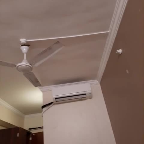 Hotel O Peaceful Stay Keshav Nagar. - Traveller Photo