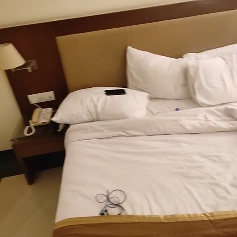 Park Ornate Hotel - Traveller Photo