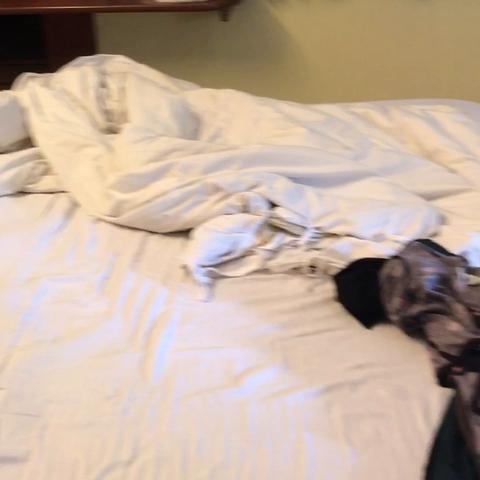 Royal Hospitality - Traveller Photo