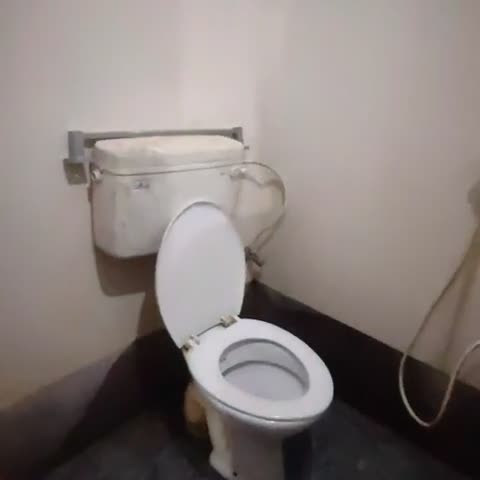Alaka Guest House - Traveller Photo