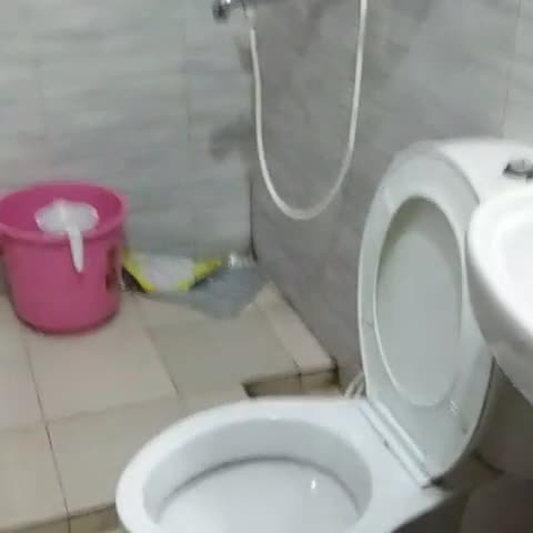 Hotel Kalinga - Traveller Photo