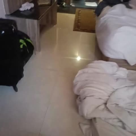 Hotel VIP Square - Traveller Photo